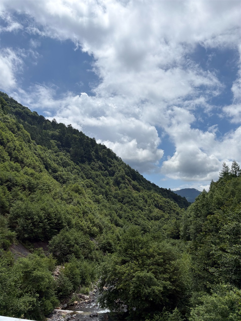 f:id:momo20150410:20260811150003j:image f:id:momo20150410:20260811150003j:image