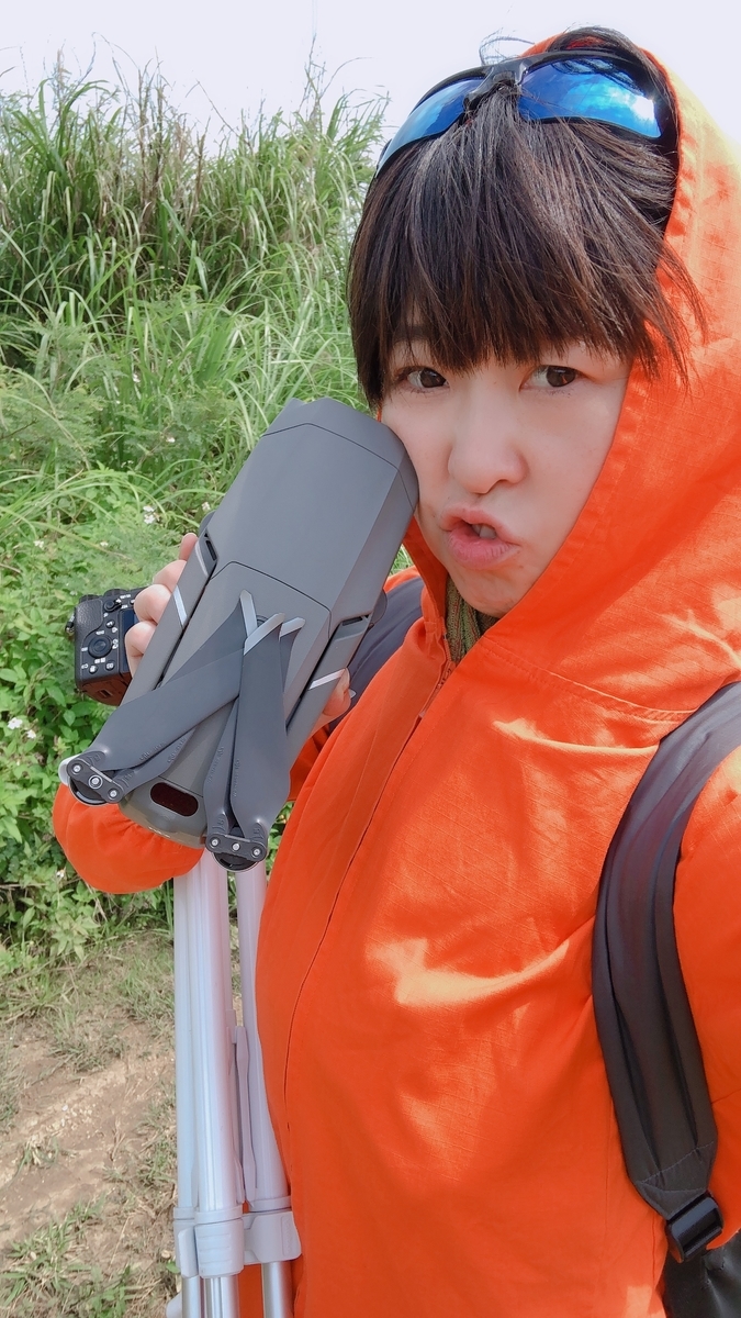 f:id:momo41_1:20190420141054j:plain f:id:momo41_1:20190420141054j:plain