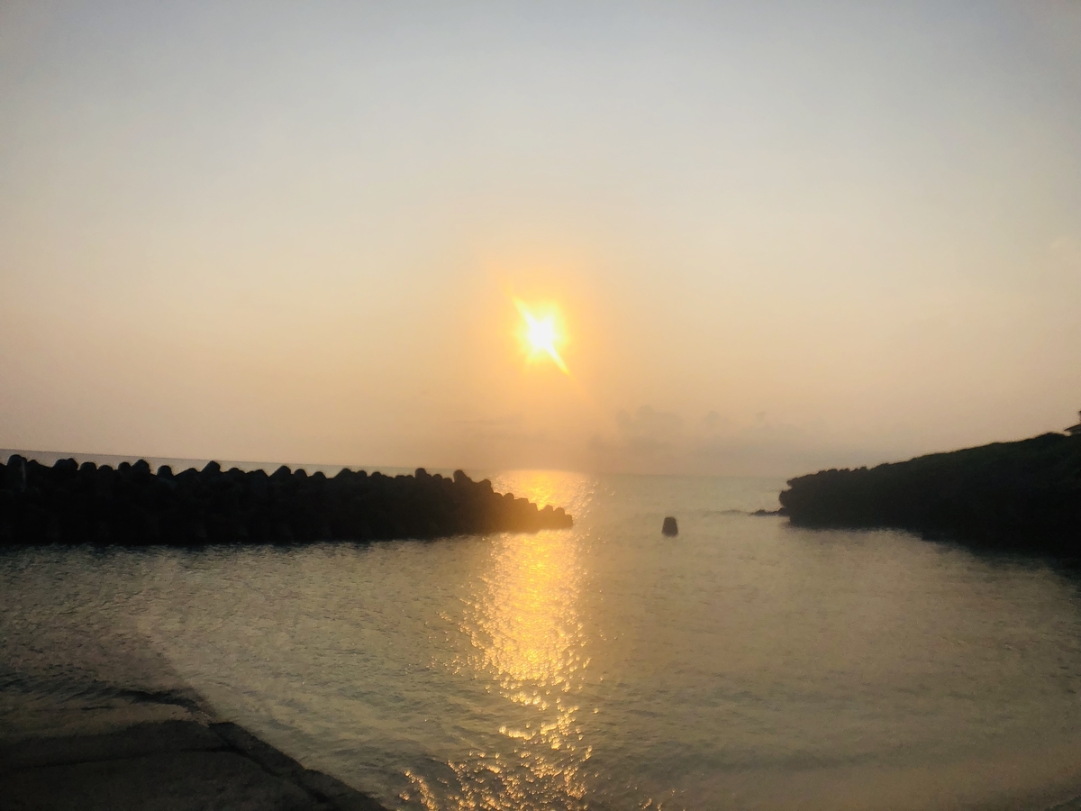 f:id:momo41_1:20190420142631j:plain f:id:momo41_1:20190420142631j:plain