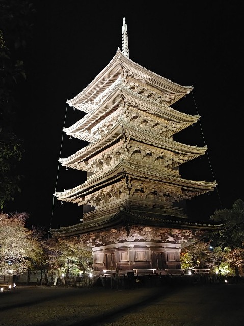 f:id:momo_1111:20251112110818j:image