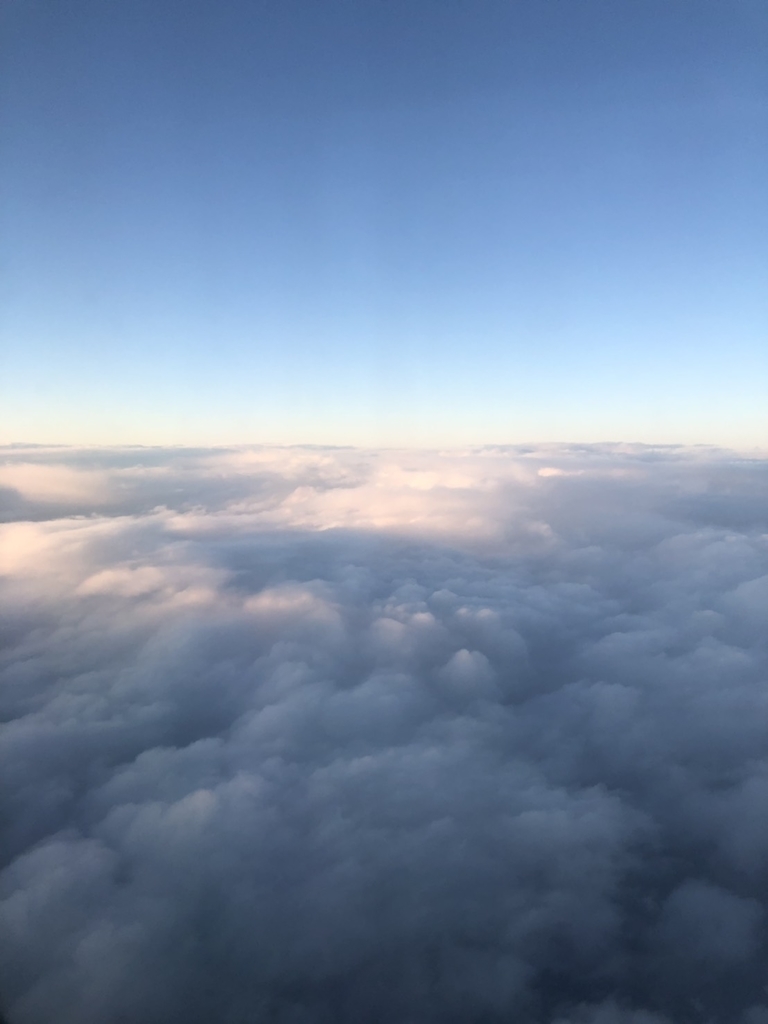 f:id:momo_ma:20190127160140j:plain f:id:momo_ma:20190127160140j:plain
