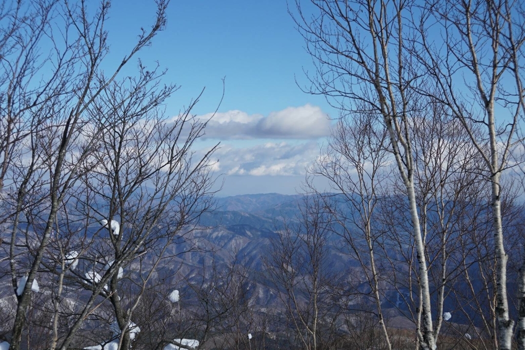 f:id:momo_peche:20190119161305j:plain