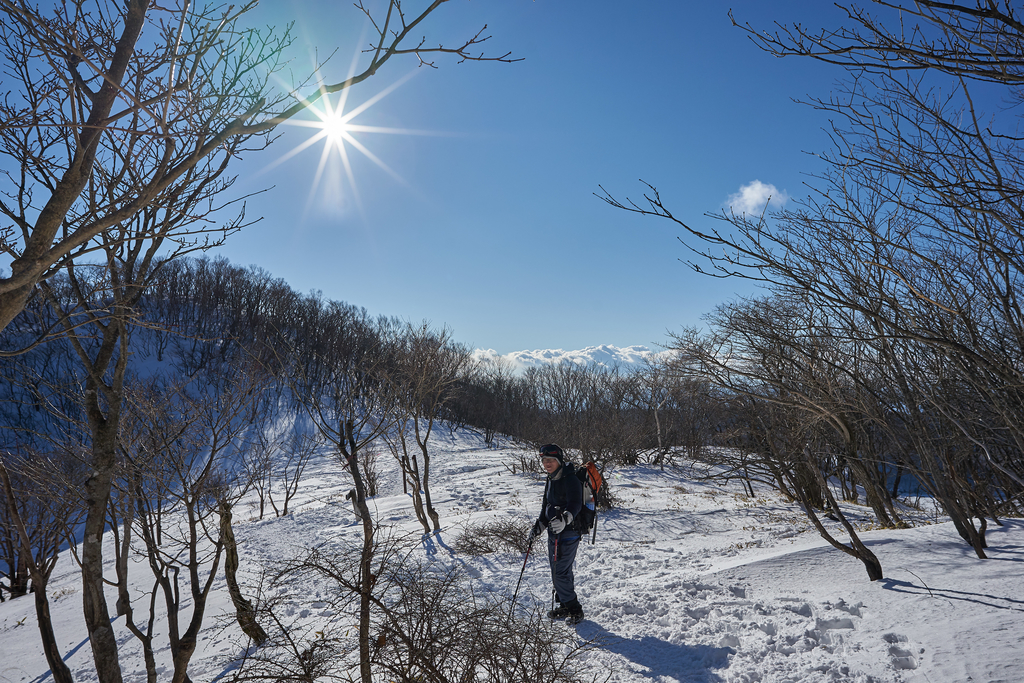f:id:momo_peche:20190119171020j:plain