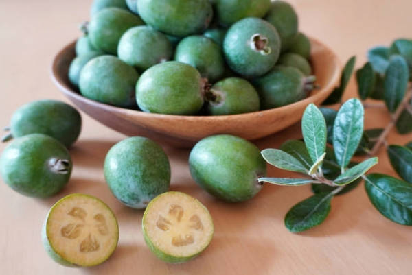 f:id:momoanko:20200806163914j:plain