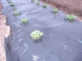 20100415093154