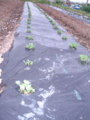 20100415093202