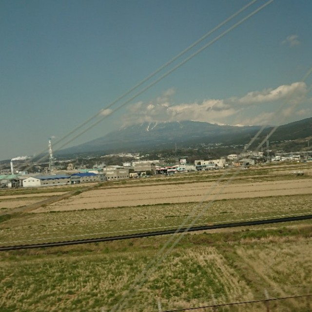 f:id:momoboo826:20190415221931j:image f:id:momoboo826:20190415221931j:image