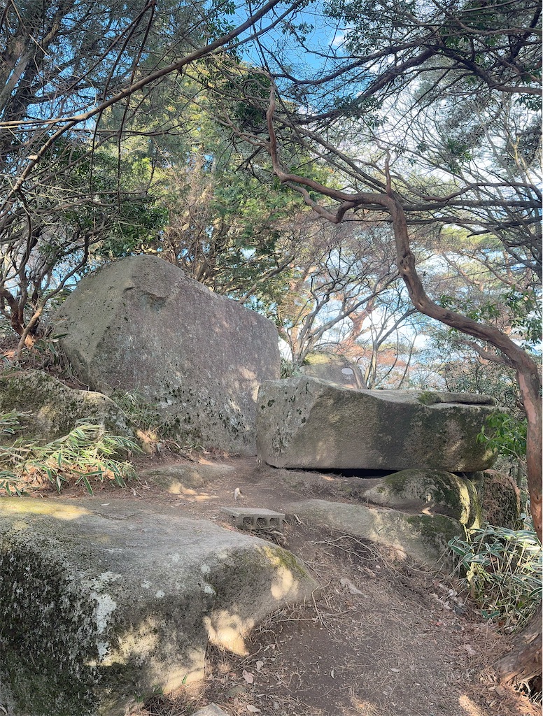 f:id:momochen:20240108132406j:image