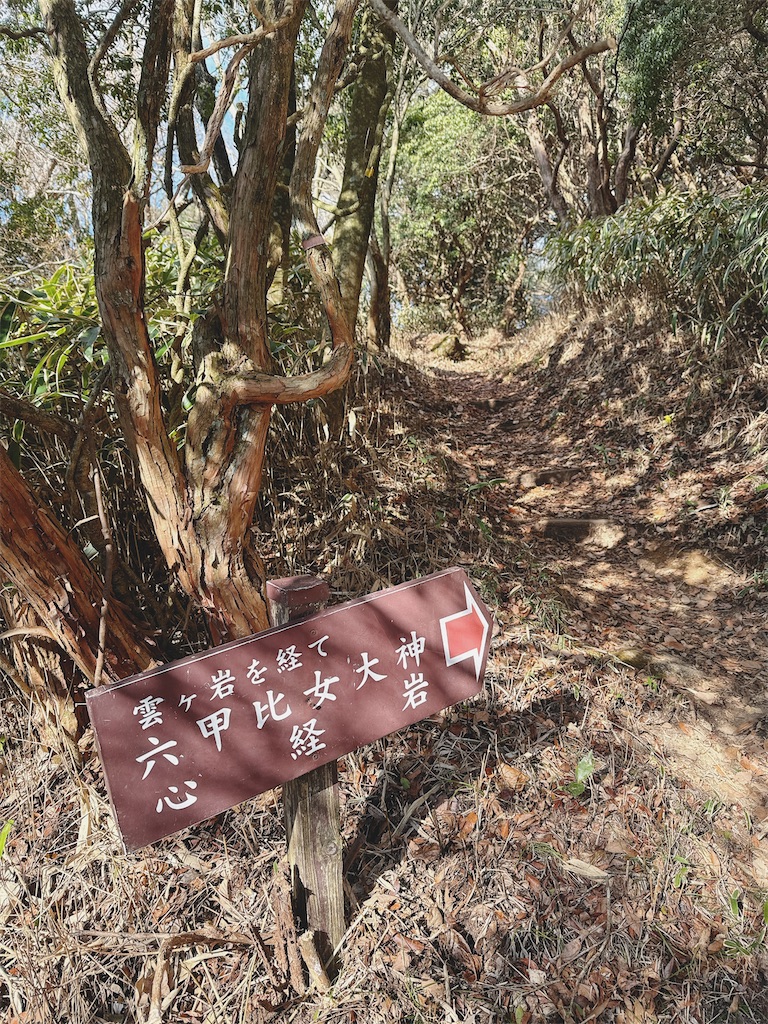 f:id:momochen:20240108132413j:image