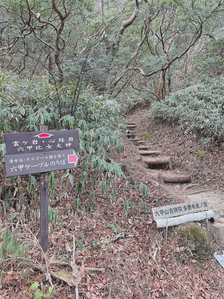 f:id:momochen:20240108132425j:image