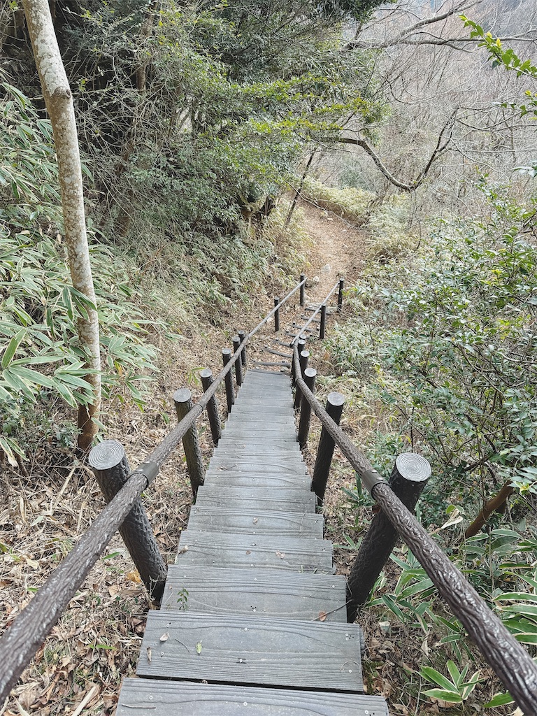 f:id:momochen:20240108132437j:image
