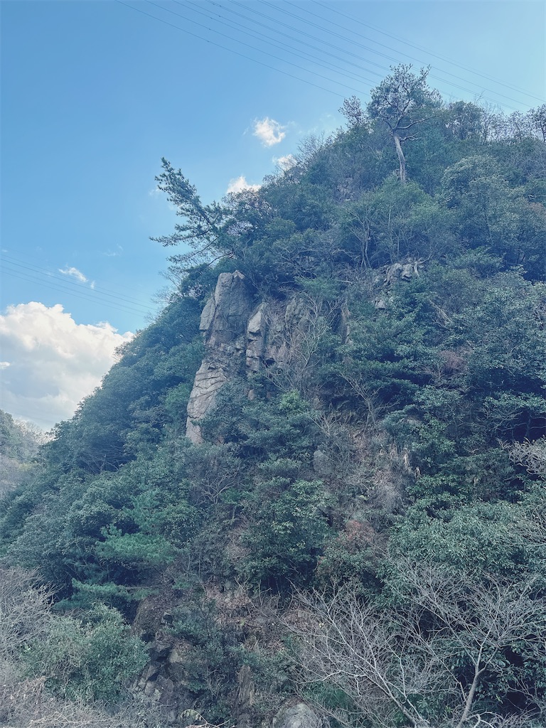 f:id:momochen:20240108132615j:image