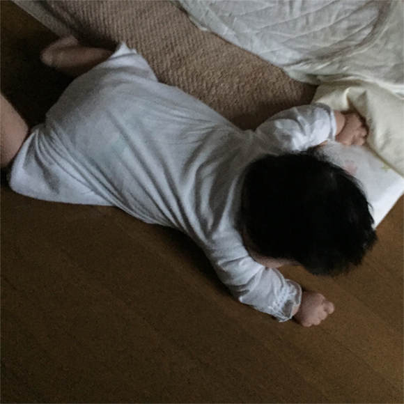f:id:momocotan:20161107161636p:plain f:id:momocotan:20161107161636p:plain