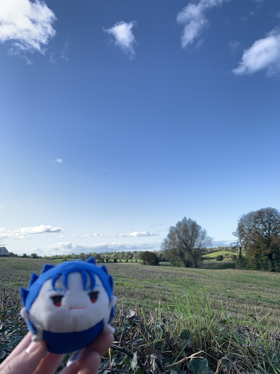 f:id:momodayone:20191117210236j:plain