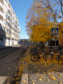 Uppsala 2010.10.26.