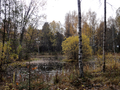 Uppsala 2010.10.26