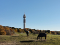 Gärdet, Stockholm, 2010.10.29