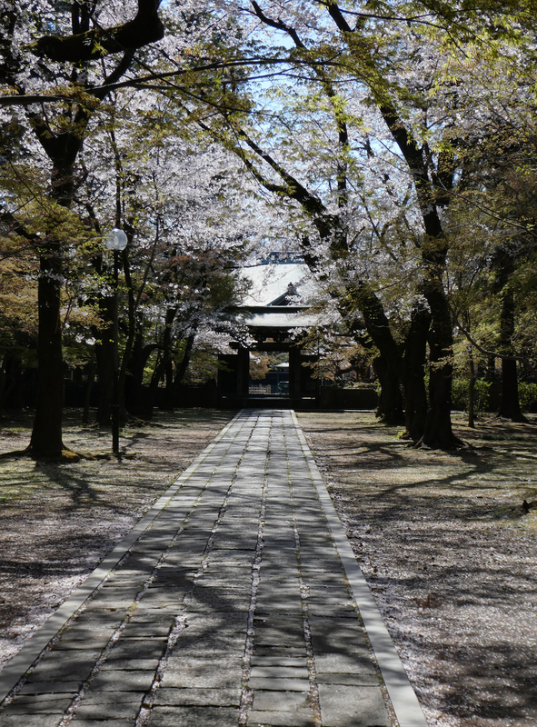  東漸寺 Tozenji, Matsudo 2019.04.03