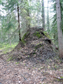 Nydalasjön, Umeå 2012.06.03.