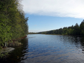 Nydalasjön, Umeå 2012.06.03.