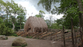 Skansen, Stockholm 2012.06.05.