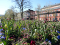 Uppsala 2015.05.09