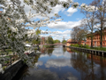 the Fyris river, Uppsala 2015.05.09