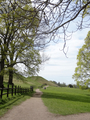 Gamla Uppsala, Uppsala 2015.05.11.