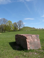 Gamla Uppsala, Uppsala 2015.05.11.