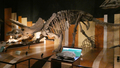いわき市石炭・化石館 ほるる 2019.02.08
