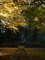  東漸寺 2019.12.03.