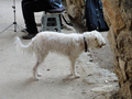 Parc Güell 2015.07.18.