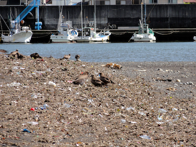 f:id:momodisson:20210624043111j:plain