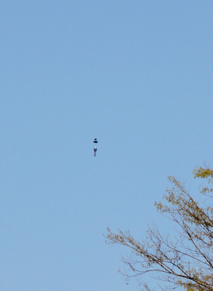 f:id:momodisson:20210624043309j:plain