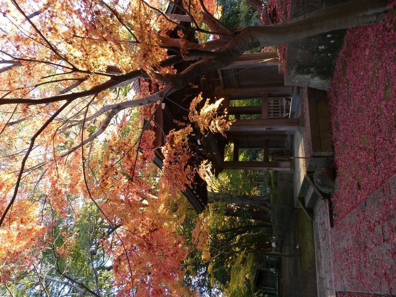  東漸寺 2019.12.03.