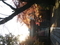  東漸寺 2019.12.03.