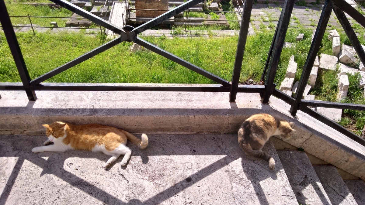 f:id:momofukutw:20190522212811j:plain f:id:momofukutw:20190522212811j:plain