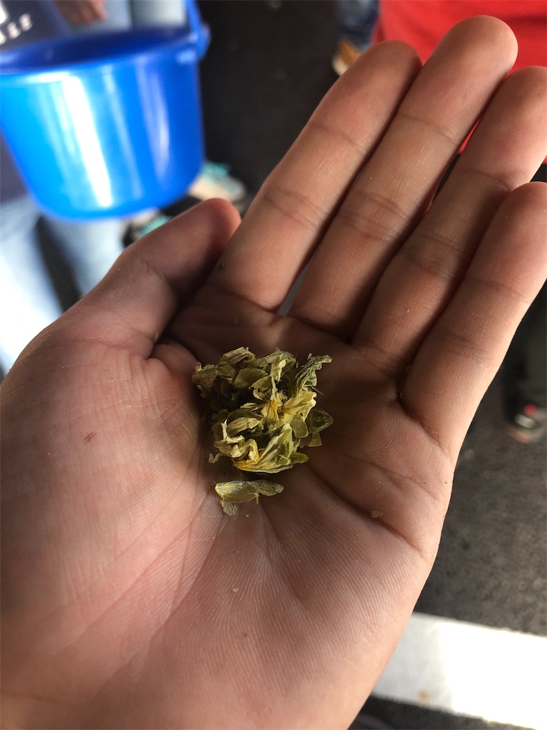 f:id:momoharu302c:20190614202013j:plain f:id:momoharu302c:20190614202013j:plain