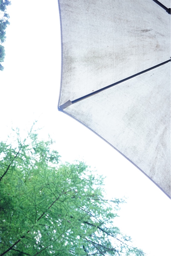 f:id:momoharu302c:20191214114404j:image f:id:momoharu302c:20191214114404j:image