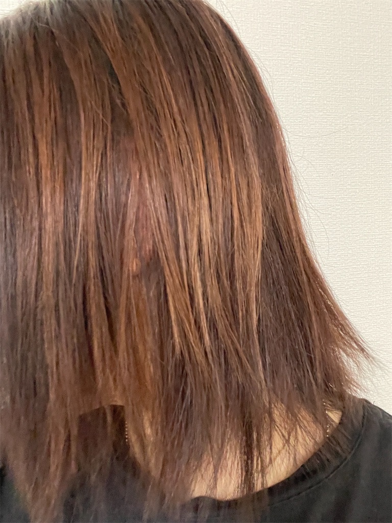 f:id:momohatori:20210604091249j:image