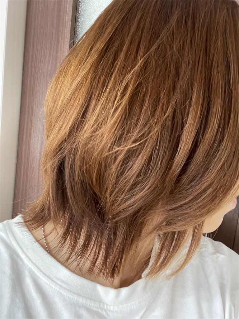 f:id:momohatori:20210604091307j:image