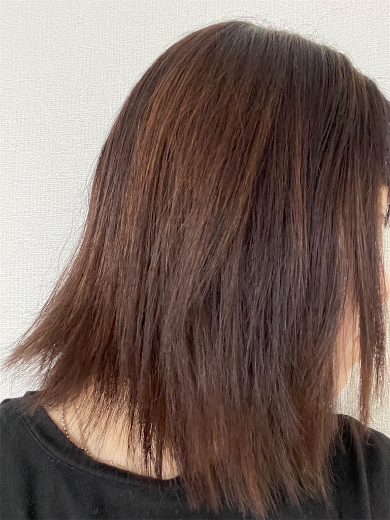 f:id:momohatori:20210604091315j:image