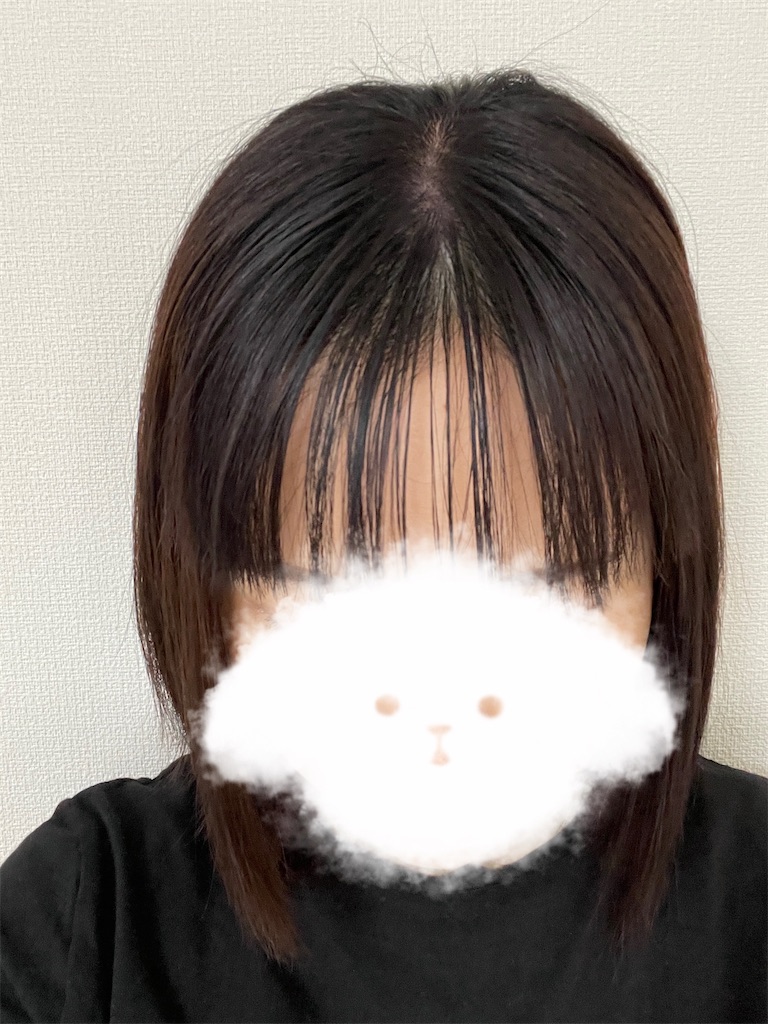 f:id:momohatori:20210604091633j:image