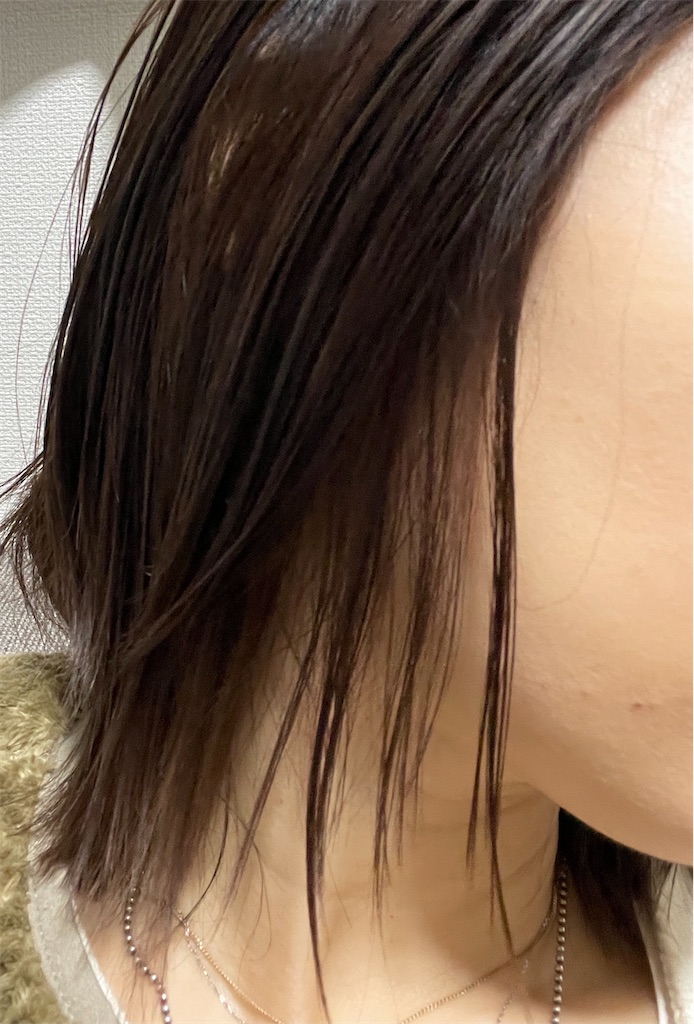 f:id:momohatori:20210604093637j:image