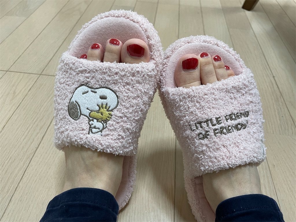 f:id:momohatori:20210610160443j:image