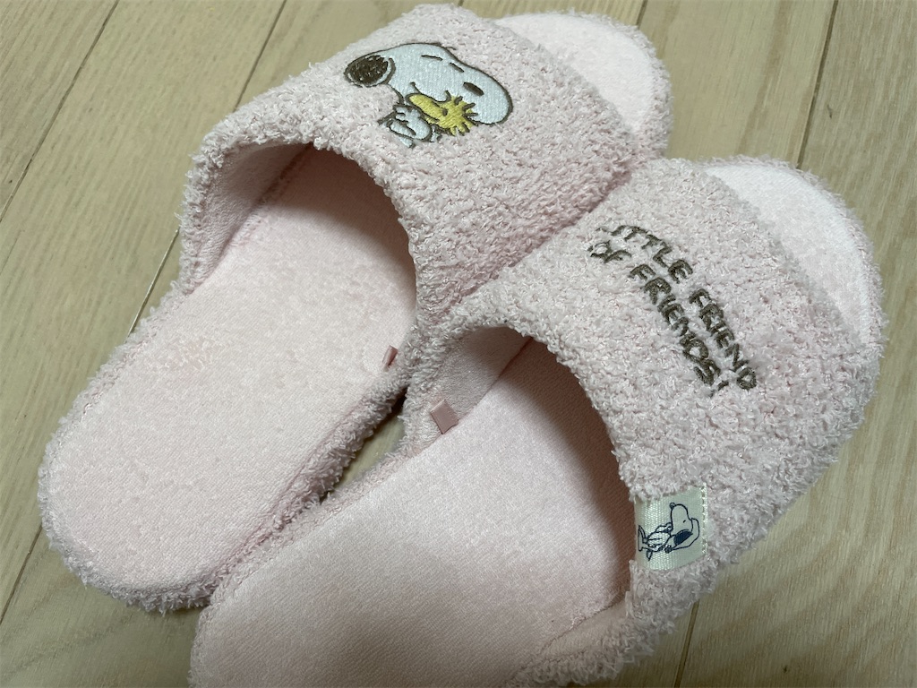 f:id:momohatori:20210610162913j:image