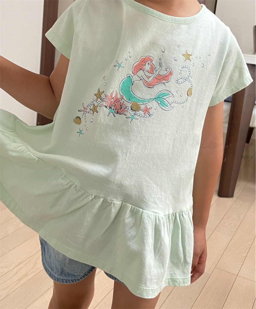 f:id:momohatori:20210610162920j:image