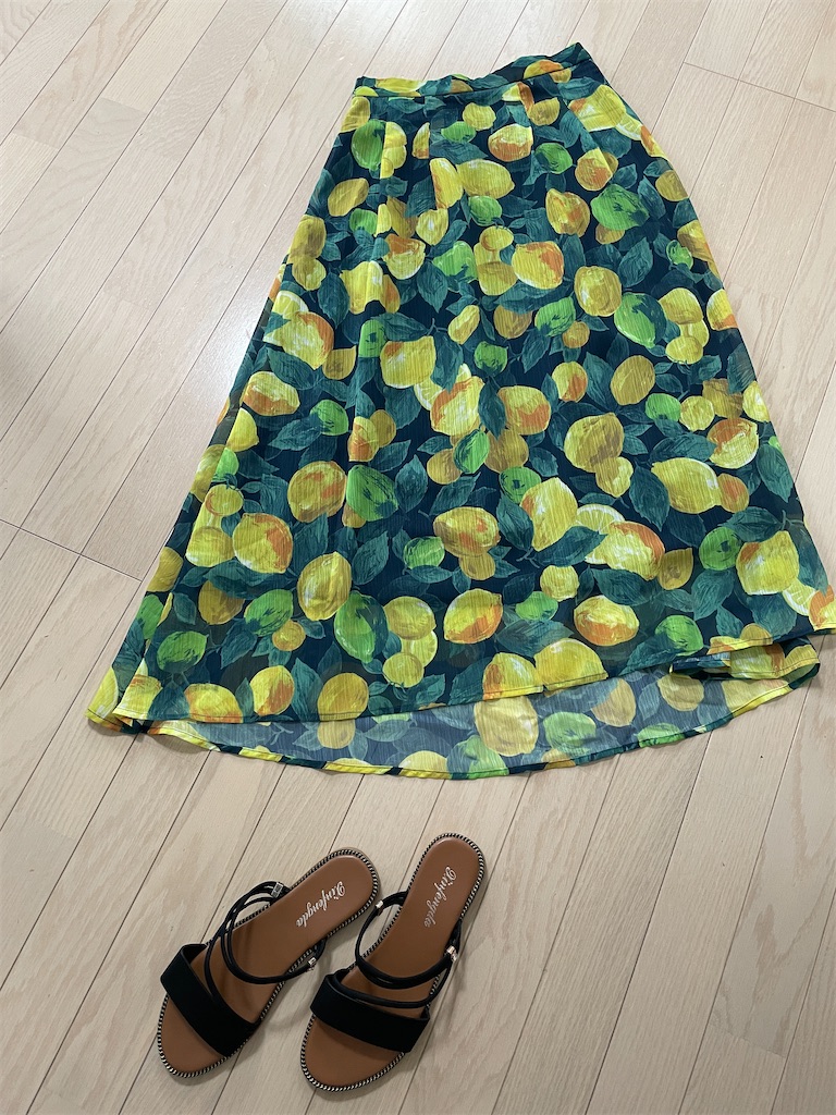 f:id:momohatori:20210628140422j:image