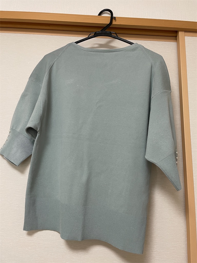 f:id:momohatori:20210630095714j:image