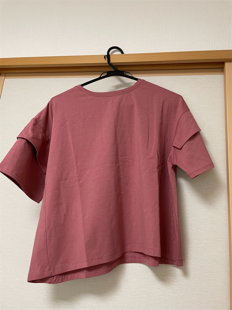 f:id:momohatori:20210630095733j:image
